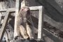 上野動物園 -3　猿の仲間いろいろ