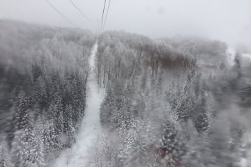 <p>Heading up to the summit in the cable car.</p>