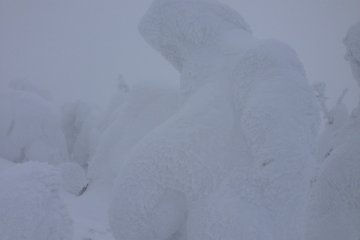 <p>It was -6.5 and with the wind picking up, visibility wasn&#39;t the best. That effect though, made it almost surreal.</p>
