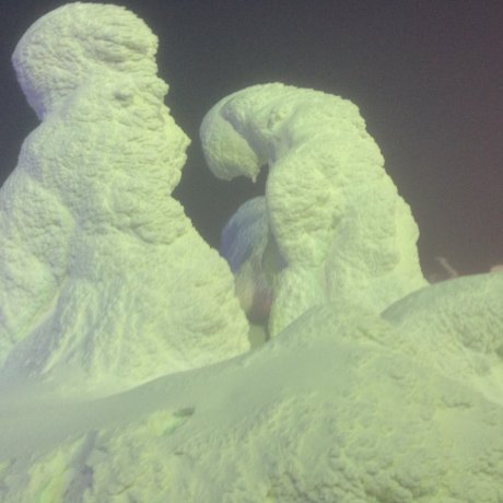 The Snow Monsters of Zao