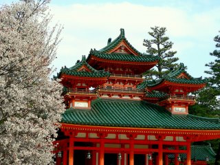 Khung cảnh của đền Heian với cây anh đào ở phía trước