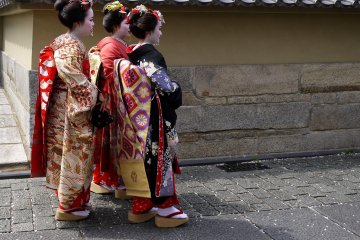 <p>Three little maiko (I don&#39;t think they are real ones!)</p>