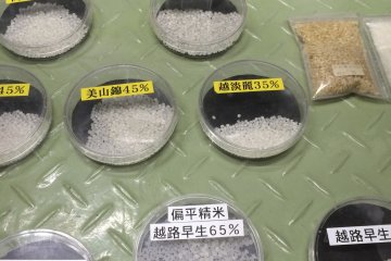 <p>Different types of rice and polishing will yield different results</p>