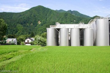 <p>One of the largest Sake production facilities in Niigata</p>