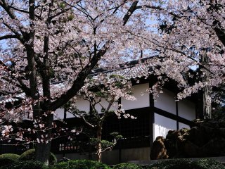 A stone monument of Bokusui&#39;s poem inside Japanese garden of Kokawadera Temple