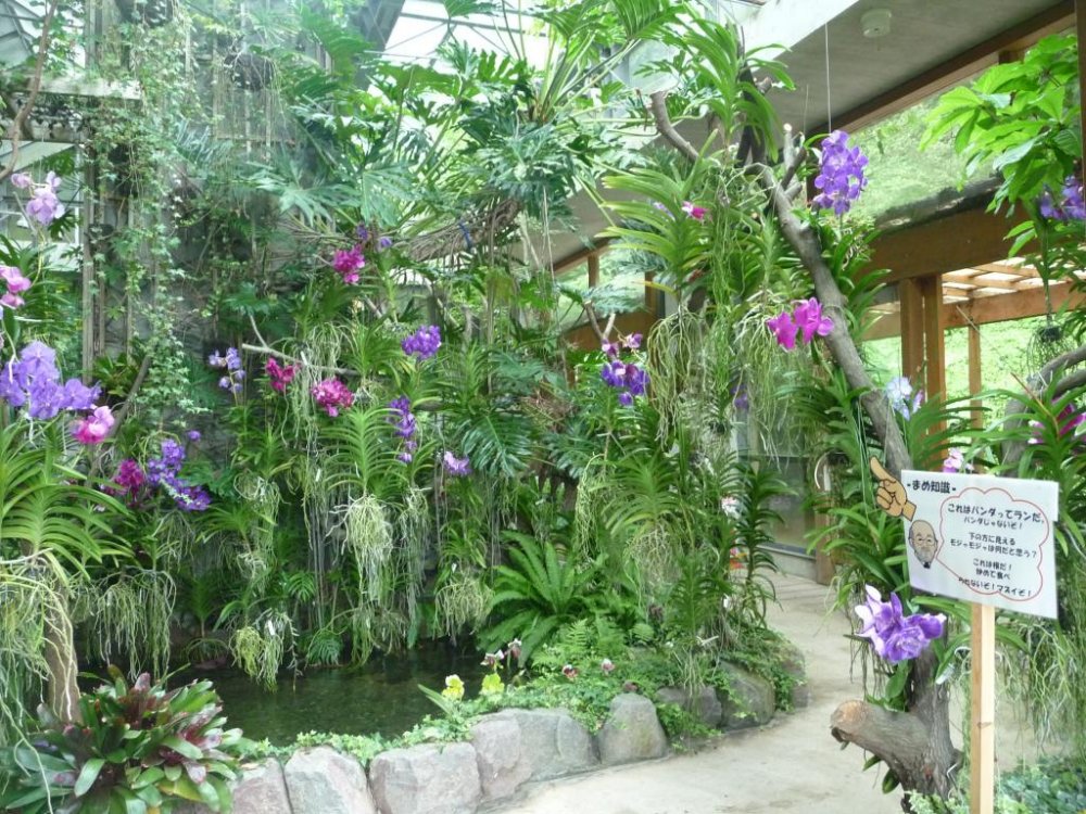 Rumah kaca observasi yang ditata secara apik dengan kolam-kolam, pepohonan dan bunga-bunga yang ditata dengan kreatif