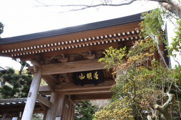 <p>Looking up at the main gate of Jojuin Temple in Kamakura</p>