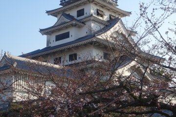 <p>In springtime, this is a beautiful place to see the sakura in bloom</p>