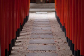 <p>A short walk away from Tochoji temple is Kushida shrine</p>
