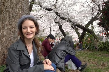 Ohanami in Ueno Park