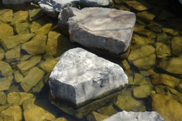 <p>Stepping stones lead across the stream</p>