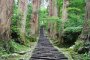 Mount Haguro’s Avenue of Centuries-old Cedar Trees