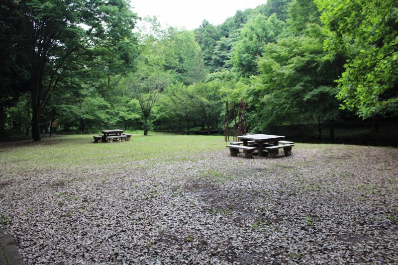 <p>The many lovely trees and benches throughout Tadao Park</p>