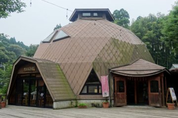 <p>The restaurant is housed in a geodesic dome</p>