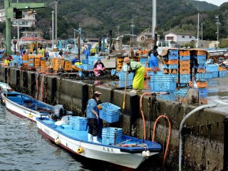 Small boats bring wakame seaweed to the port &nbsp;