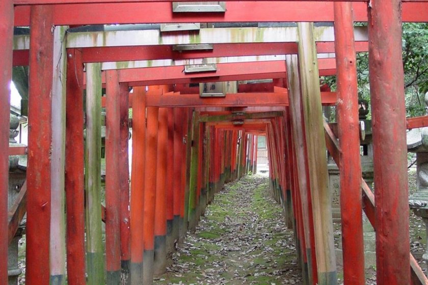 Torii Gates of Shinto Shrine