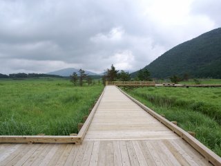The boardwalk leads across the vast wetlands