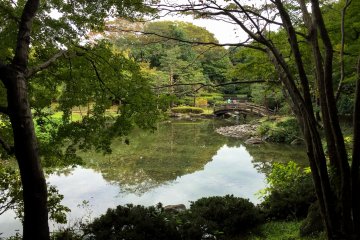 <p>Views from the Japanese Garden</p>