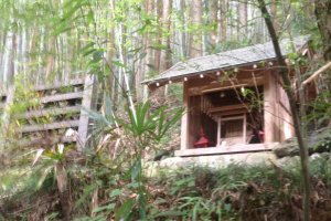 Small Shrine amongst the Bamboo and Trees