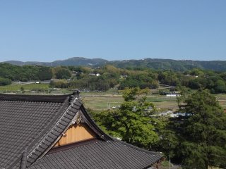 A view of the countryside from behind the temple hall