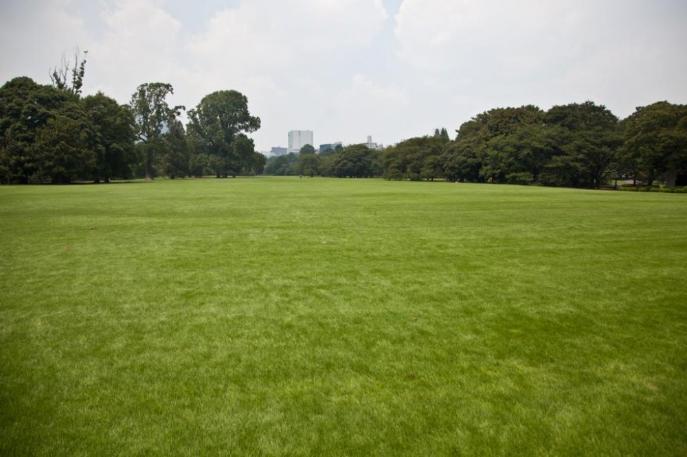 De nombreuses parties du parc sont de vastes &eacute;tendues d&#39;herbe verte et tendre, id&eacute;ale pour se d&eacute;tendre et profiter du soleil