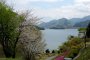Spring Views Over Lake Miyagase