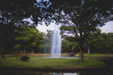 <p>Yoyogi Park fountain</p>