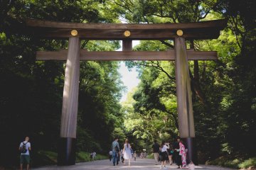 <p>Entrance gate to Meiji Jingu Shrine</p>