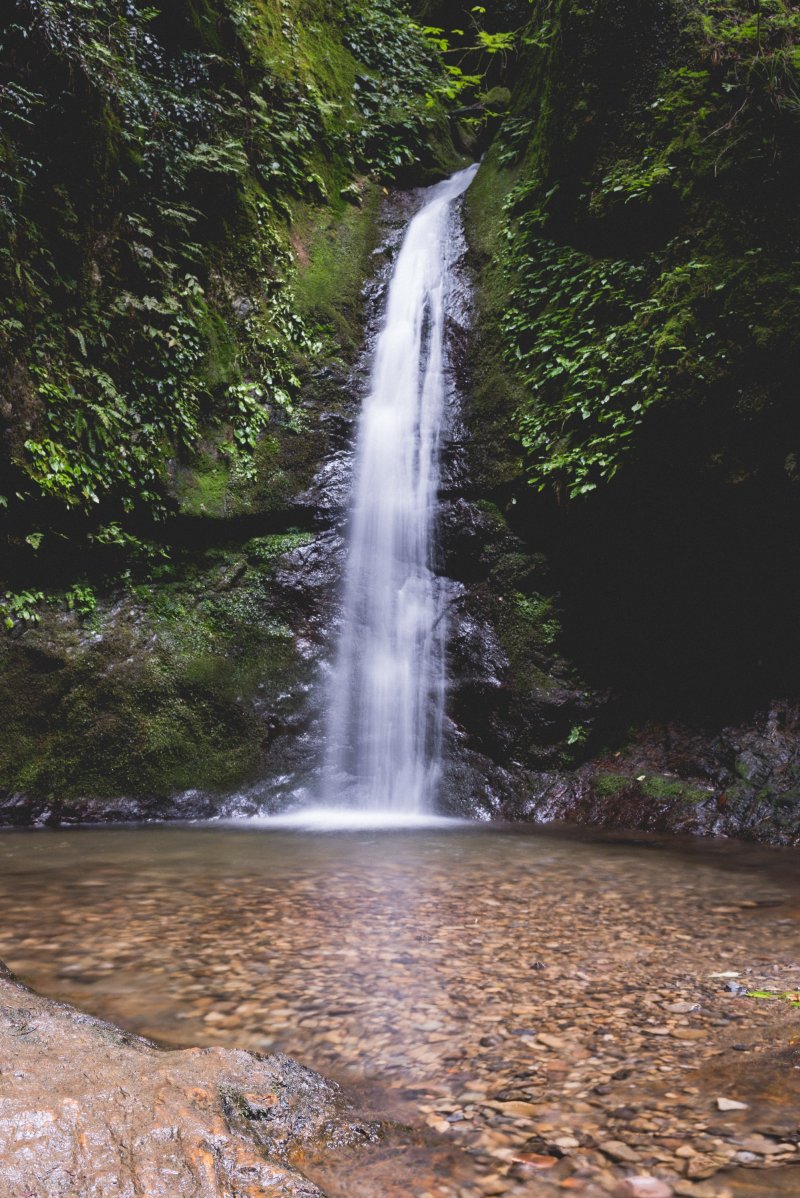 <p>Nanayo Waterfall!</p>