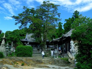 Garden of Ryusui-gan (14th temple)