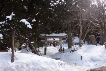 <p>ศาลเจ้า Shirakawago Hachiman Shrine ที่พวกเรามาสักการะ และตามหาทานูกิ ตามคำบอกเล่าที่ว่า มันชอบที่ๆ มีต้นไม้เยอะ และบริเวณศาลเจ้าน่ะ</p>