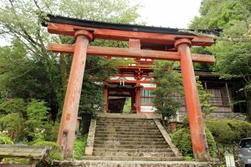 <p>The Sakuramon Gate, its stairs and torii gate</p>