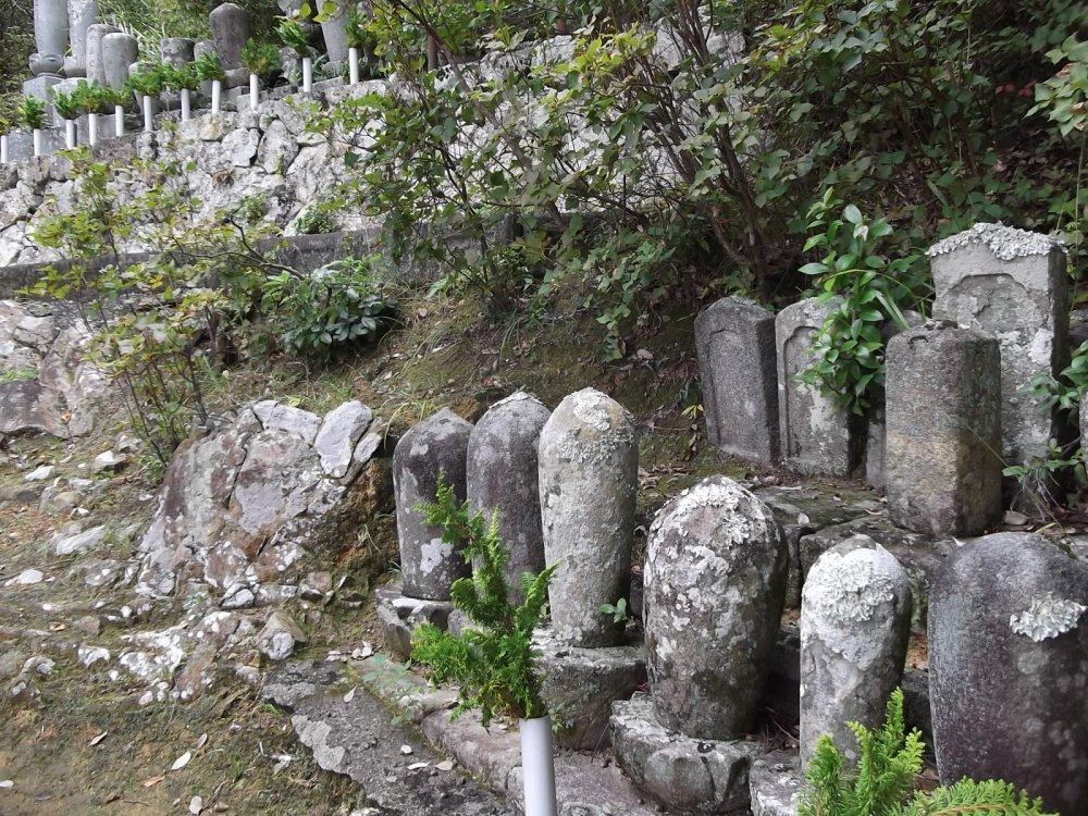 Một góc của nghĩa trang