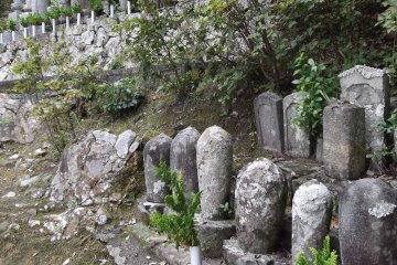 Part of the graveyard