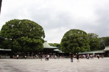 <p>На территории храма также растут красивые деревья</p>