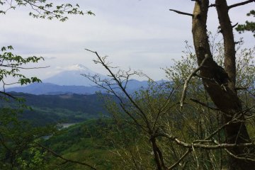 ภูเขาไดโบะซัตซึตในยะมะนะชิ