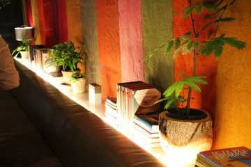 <p>Вдоль стены стоят растения и расположены книги</p>