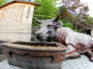 There is a great statue of a famous man in the village, and outside it&#39;s explained what his connection with the bull is and why he&#39;s revered.&nbsp;