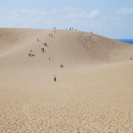 A Grain of Film History: Tottori Sand Dunes