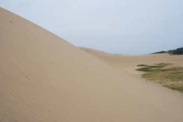 Самые большие дюны весьма крутые - на них тяжело взобраться, зато легко спускаться