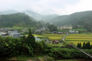 The golden rice paddies and misty mountains of Soni-mura in the rain