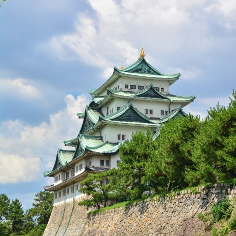 The Beauty of Nagoya Castle 