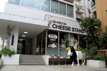 <p>Shibuya Cheese Stand cannot be missed</p>
