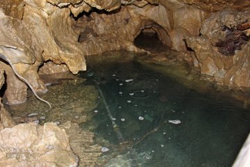 <p>The clear pool at the lowest point in the cave. It is postulated that this underground river connects to the Yoshino River through another completely submerged cave that runs down from this point</p>