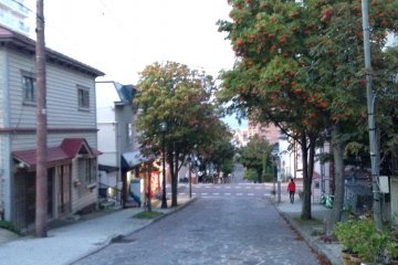 <p>Daisan-zaka is a cobbled stone street with mature trees on both sides framing the street.</p>