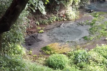 <p>Here you can see the gravel moving around at the bottom as the water is forced from the ground</p>