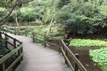 <p>Follow the boardwalk down by the river</p>