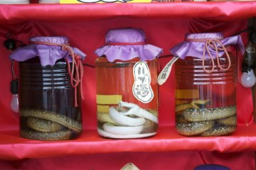 ฮะบุชุ หรืองูดองเหล้าไวน์ของโอะนินะวะ งูเป็นๆ ที่ดองอยู่ในอะวะโมะริ ใช้เป็นเครื่องดื่มบำรุงร่างกาย