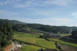 Một vài cánh đồng lúa bao quanh Northern Kyushu, ảnh chụp trên chuyến xe bus từ thành phố Nagasaki đến Isahaya.