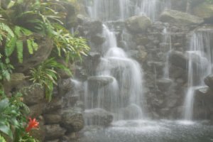 Waterfall inside the conservatory.  It was really humid as you can see!